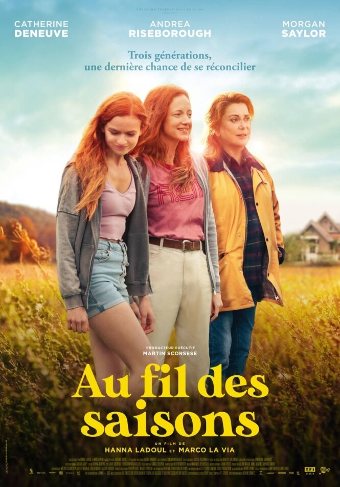 Filmplakat FUNNY BIRDS - AU FIL DES SAISONS - franz. OmU